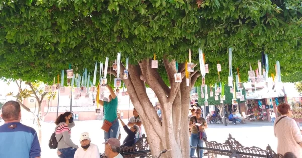 Con colecta de juguetes, buscadoras de Salamanca convierten el dolor en amor para los pequeños