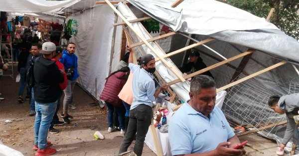 Cae árbol sobre puesto en El Cantador en Guanajuato capital