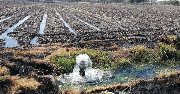 Tras decreto federal, agricultores de Guanajuato temen que les restrinjan el agua