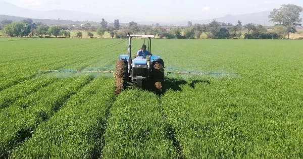 Ante inseguridad, sector campesino resulta el más afectado de Guanajuato