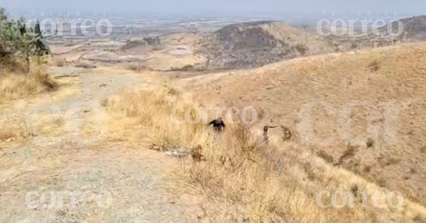 Hallan los cadáveres de dos hombres en el camino a Cristo Rey en Silao