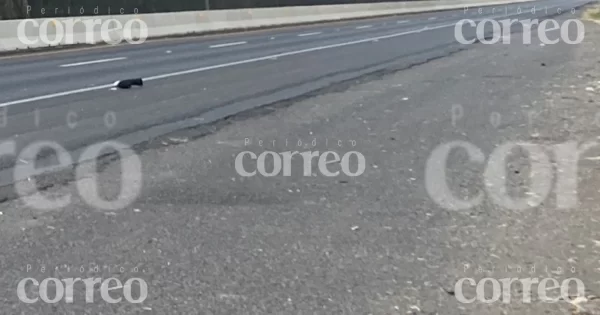 Tráiler arrolla y mata a hombre en la carretera Salamanca-Irapuato