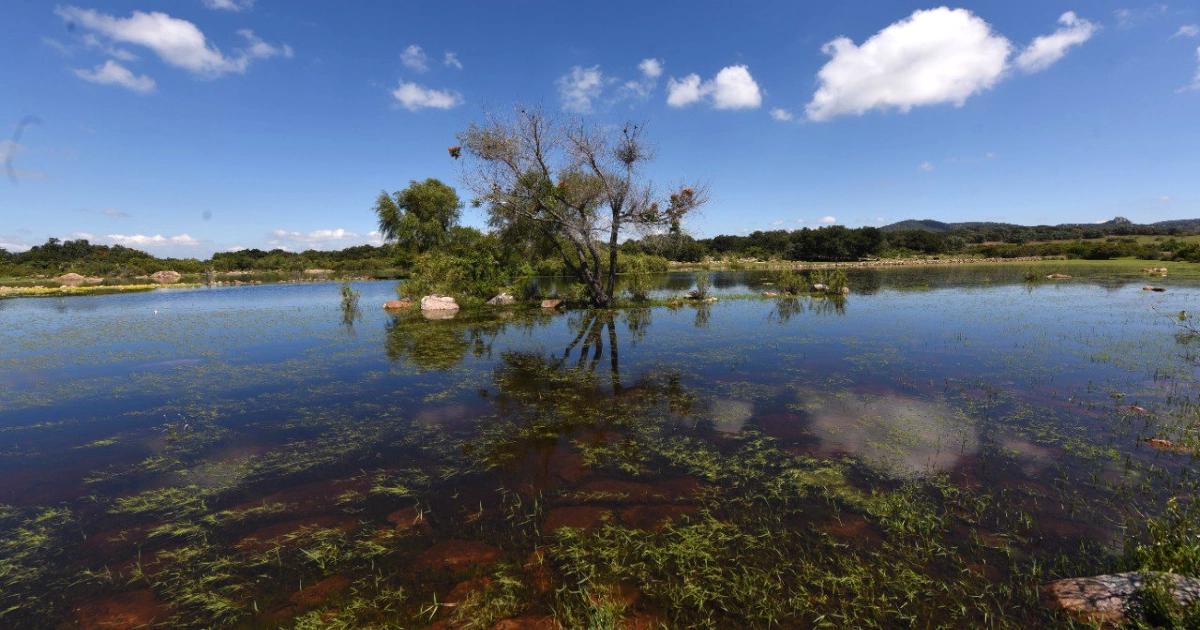 Definen actividades turisticas y de preservación en el área natural ‘Los Encinos’ en Irapuato