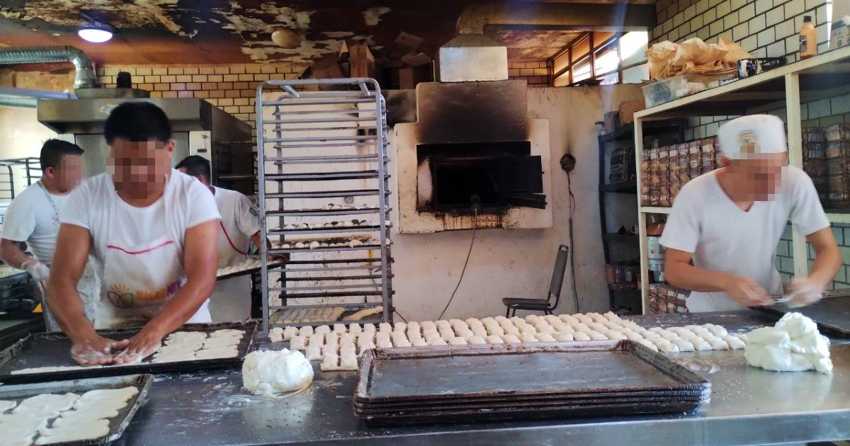 El sabor de salir adelante: así cocinan campechanas los internos de La Búsqueda en León