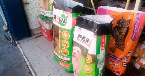 Animalistas luchan por falta de croquetas económicas: en Salamanca bulto sube a casi 600