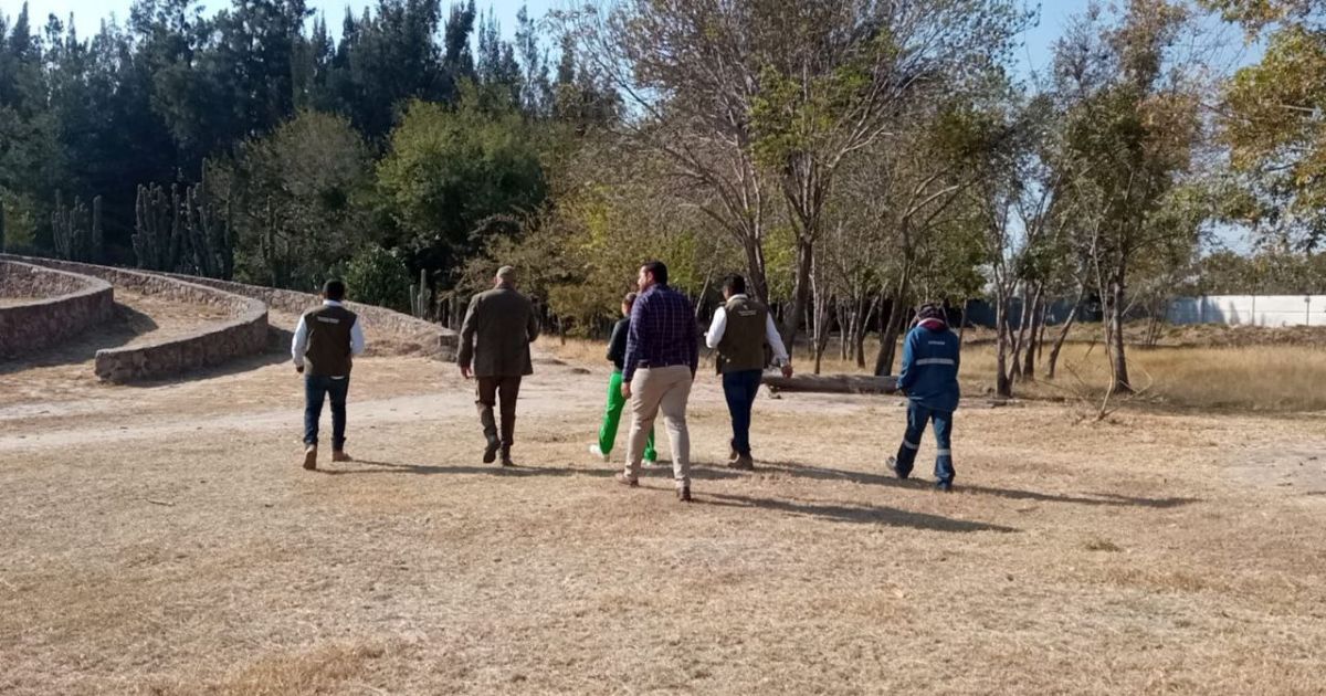 PAOT de Salamanca revisa caso de construcción de feria en Ecoparque 