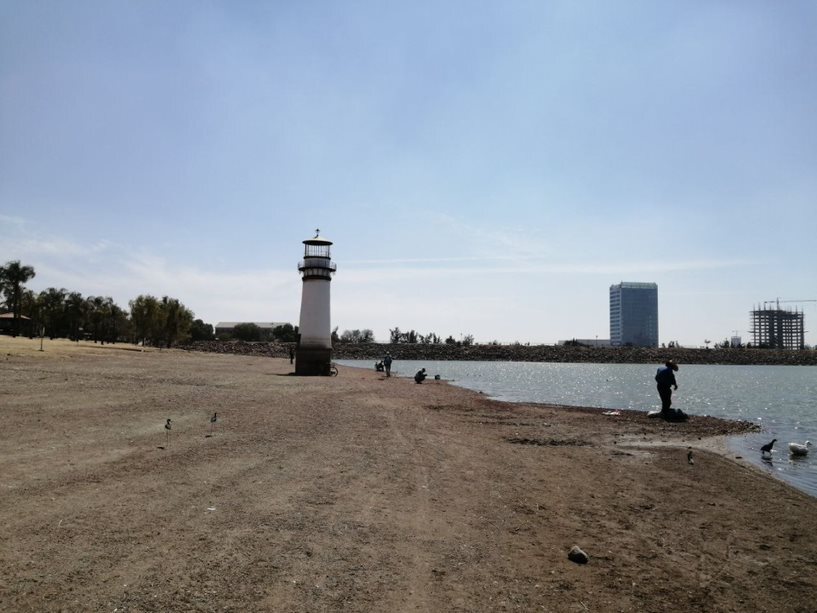 Sequía en Presa del Palote en León: aves, peces y cuidadores advierten la peor racha