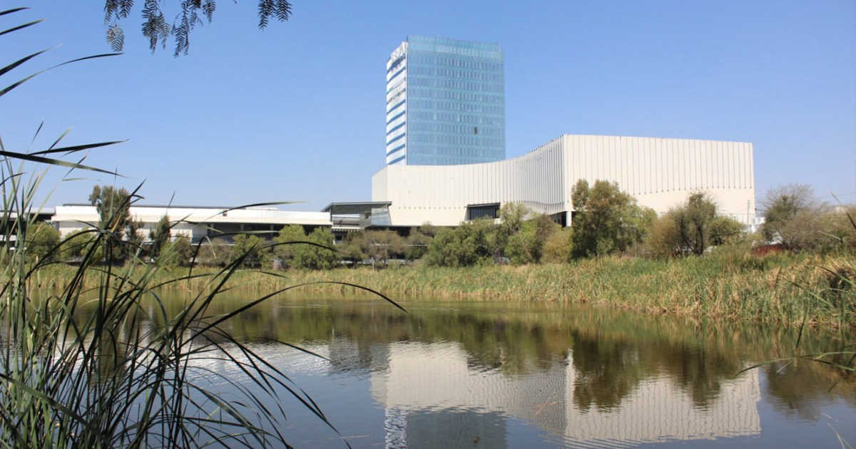 (Video) Agua, árboles y un ecosistema roto: el legado de City Center en León