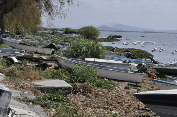 “Si no pescas, no hay dinero”: Aumento de costos y de lirio afecta a pescadores de Yuriria en plena cuaresma 