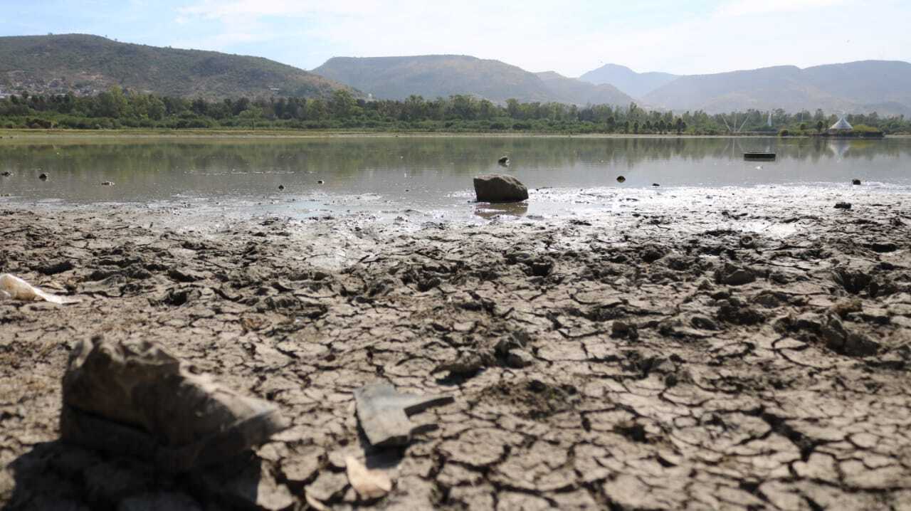 Ante la sequía en Guanajuato, SDAyR activa seguro catastrófico para apoyar a agricultores