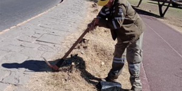 Critican tala de árboles en Los Pastitos de Guanajuato capital 