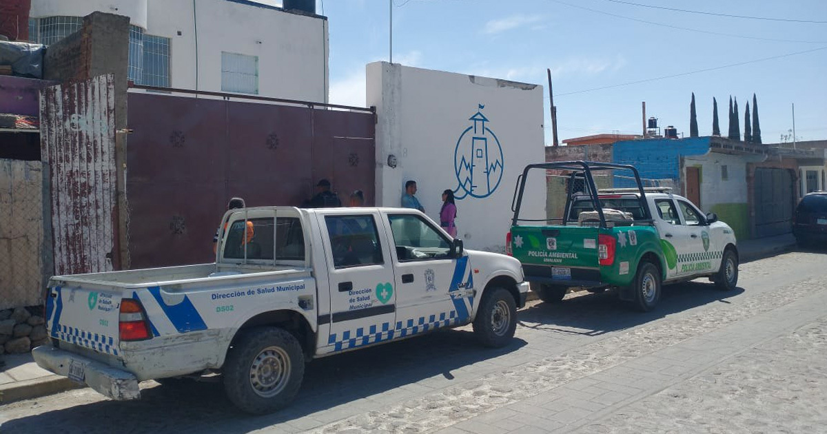 Realizan operativo en cuatro anexos en Guanajuato capital; uno quedó clausurado