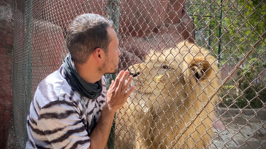 Alejandro 'vive' entre leones y jirafas como cuidador del Zoológico de Irapuato