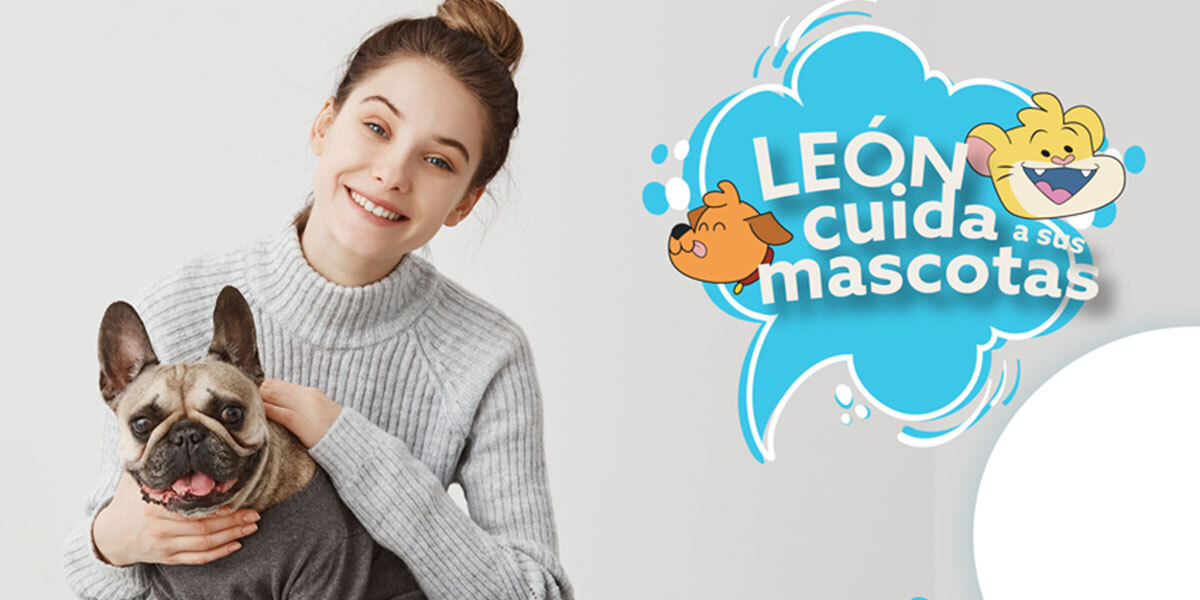 Centro Animal en León crea página para promover la adopción de mascotas en León 