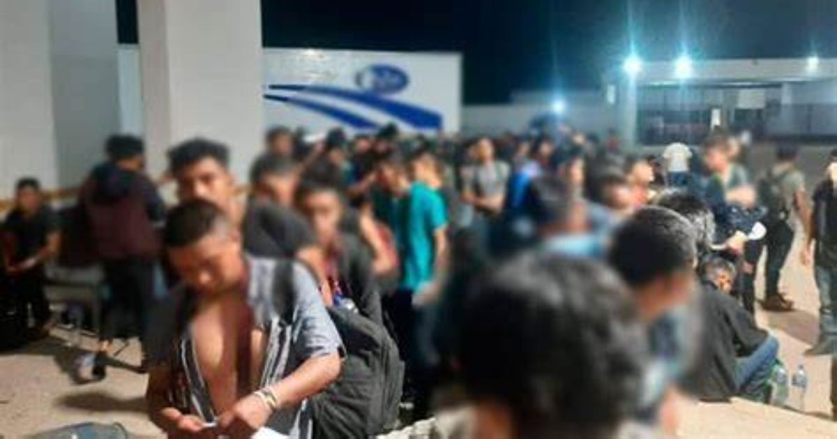 Abandonan a 343 migrantes en tráiler sobre la carretera de Veracruz