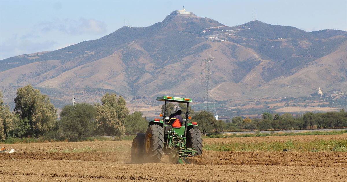 Campesinos de Silao urgen inicio de programas para el campo; temen sequía