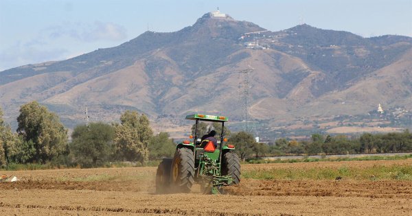 Campesinos de Silao urgen inicio de programas para el campo; temen sequía