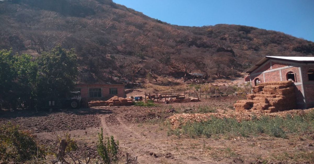 No paran asaltos a habitantes de las comunidades de Salamanca