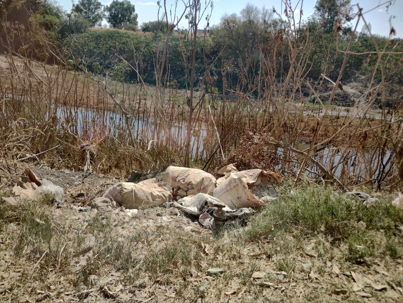 Los Sauces y La Herradura de Salamanca se convierten en un ‘cementerio de animales’