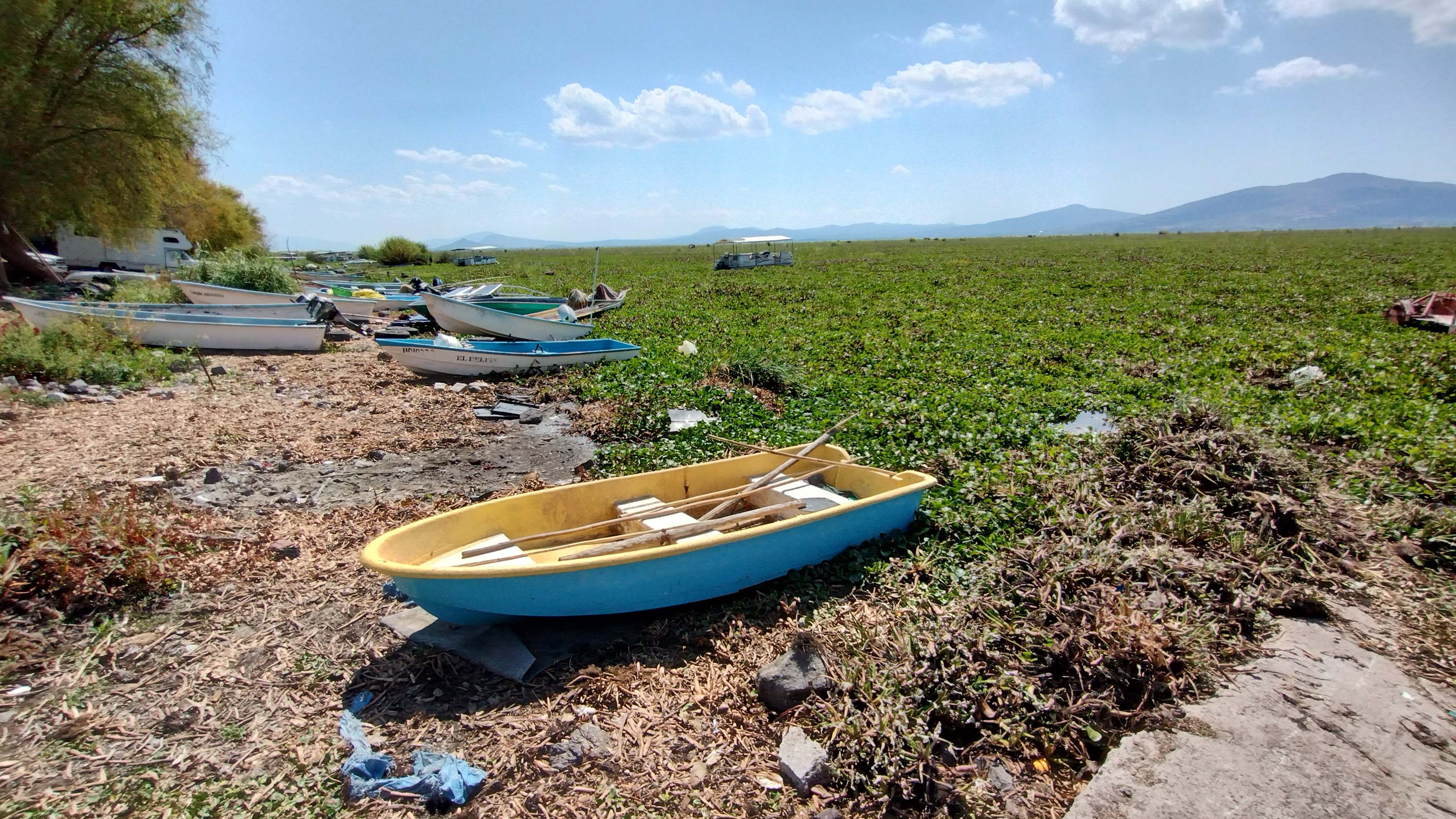 Tras 20 años de tradición, cancelan la competencia de canoas en la Laguna de Yuriria debido al lirio 