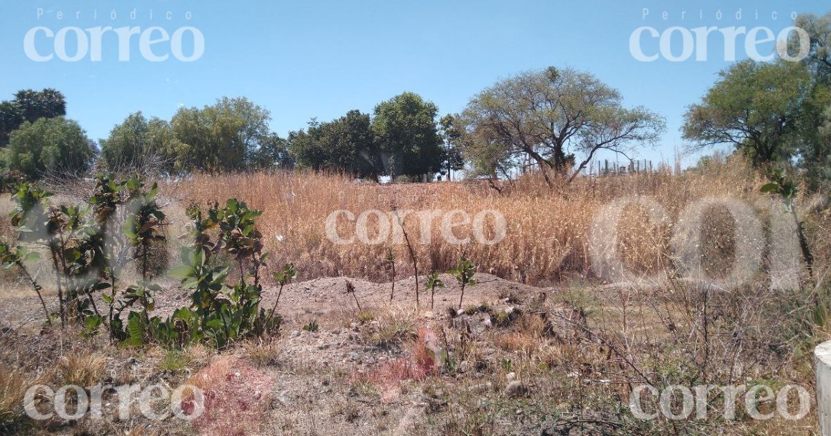 Hallan cuerpo enterrado en la Silao-Chichimequillas, descartan fosa