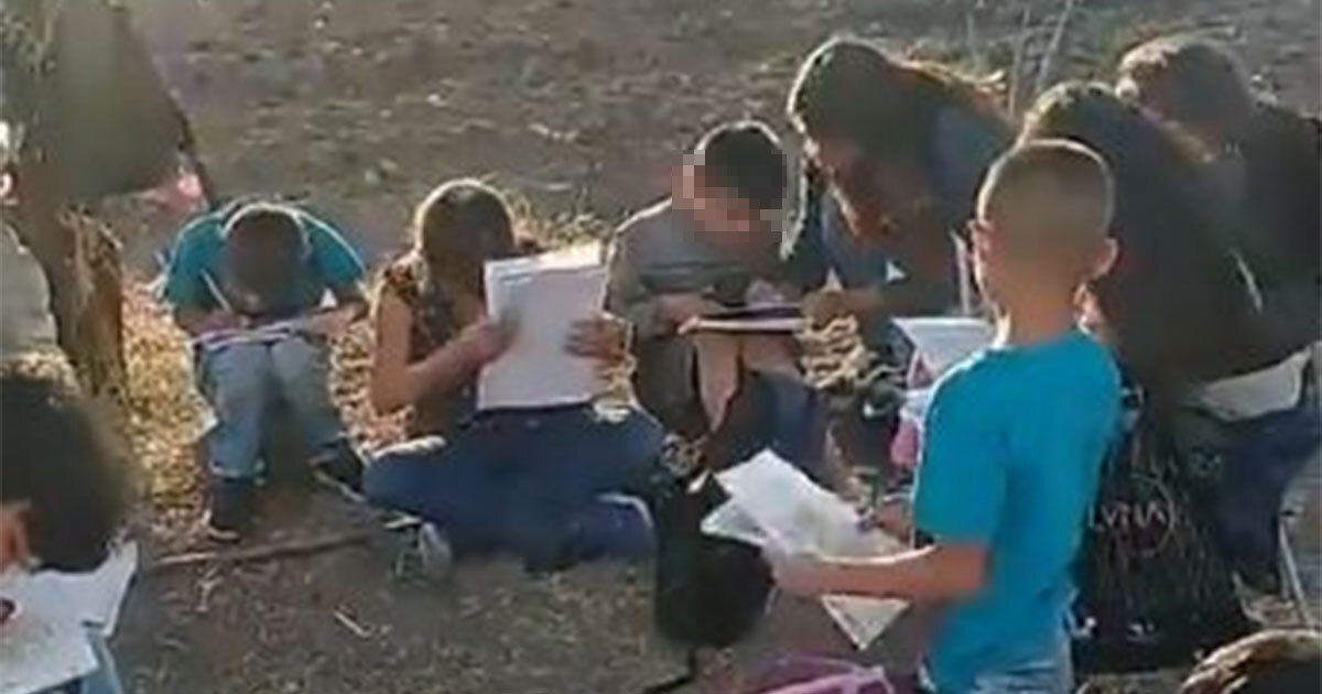 Tras desalojo de sus familias,  en Lo de Juárez, Irapuato, pequeños toman clases bajo un árbol 