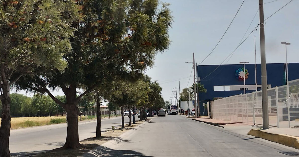 Basura y residuos insalubres sufren vecinos del Hospital General de Salamanca 