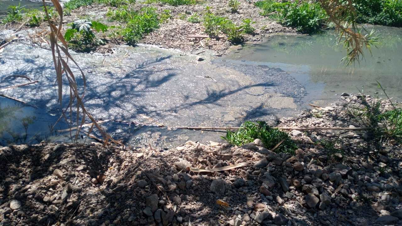 Nadie frena tiradero de aguas negras en canal a Presa La Purísima de Guanajuato: hay olores fétidos y espuma tóxica