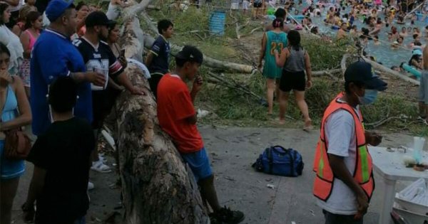 Muere bebé de 11 meses tras colapso de árbol en balneario de Comanjilla, Silao 