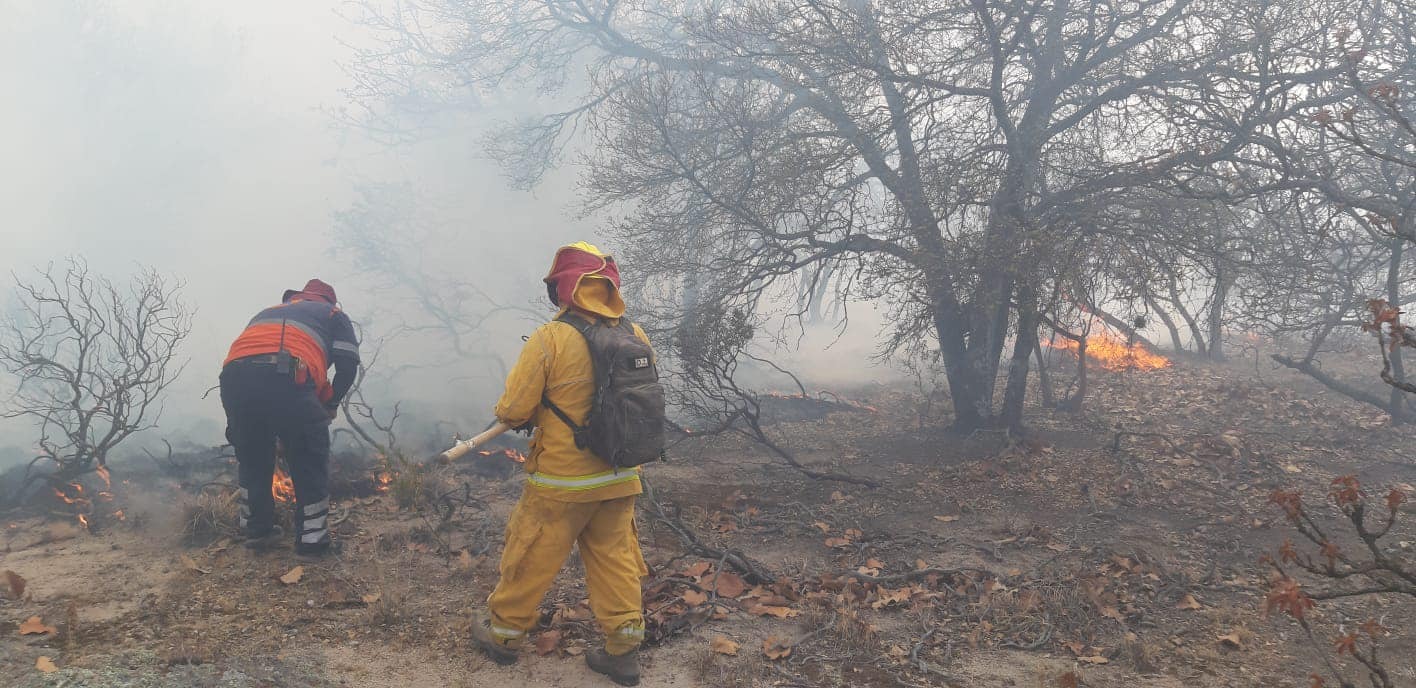 Incendio forestal en la Sierra de Codornices afecta más de mil hectáreas en Guanajuato capital