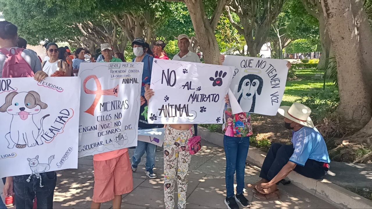 Marchan irapuatenses para exigir medidas contra el maltrato animal