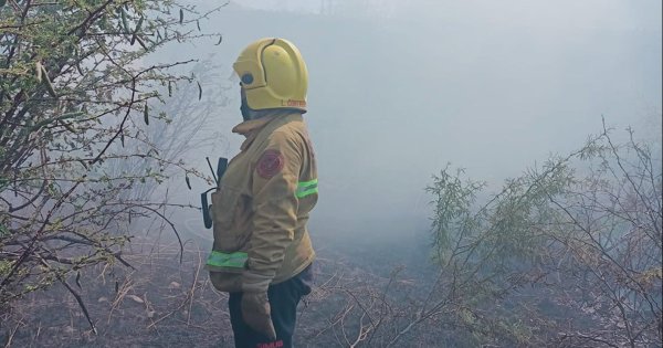 'La temporada viene fuerte': Bomberos Simub advierte por incendios forestales en Guanajuato