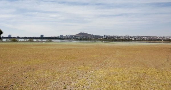 Cambio climático ya afecta a Guanajuato: temperatura sube casi 3 grados en 30 años