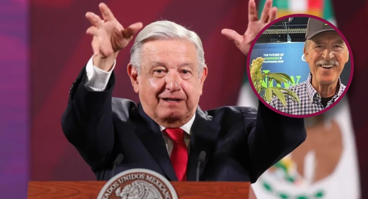 'Inmoral', así califica AMLO los permisos que Cofepris le dio a Fox para comercializar productos cannábicos 