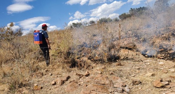 Bomberos de Abasolo y Pénjamo combaten 6 incendios forestales al día; la mayoría son provocados