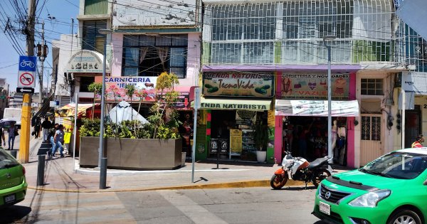 Comerciantes de Irapuato alzan la voz contra jardineras que bloquean la vista de sus negocios