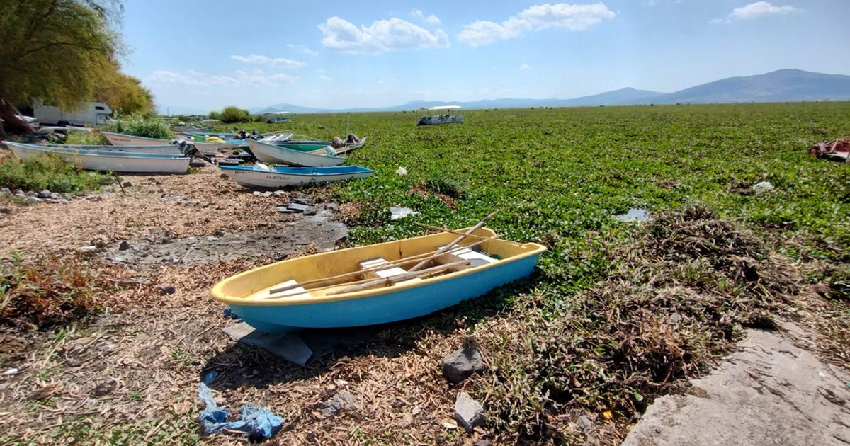 SMAOT acusa a Semarnat y Conagua por desantender la Laguna de Yuriria