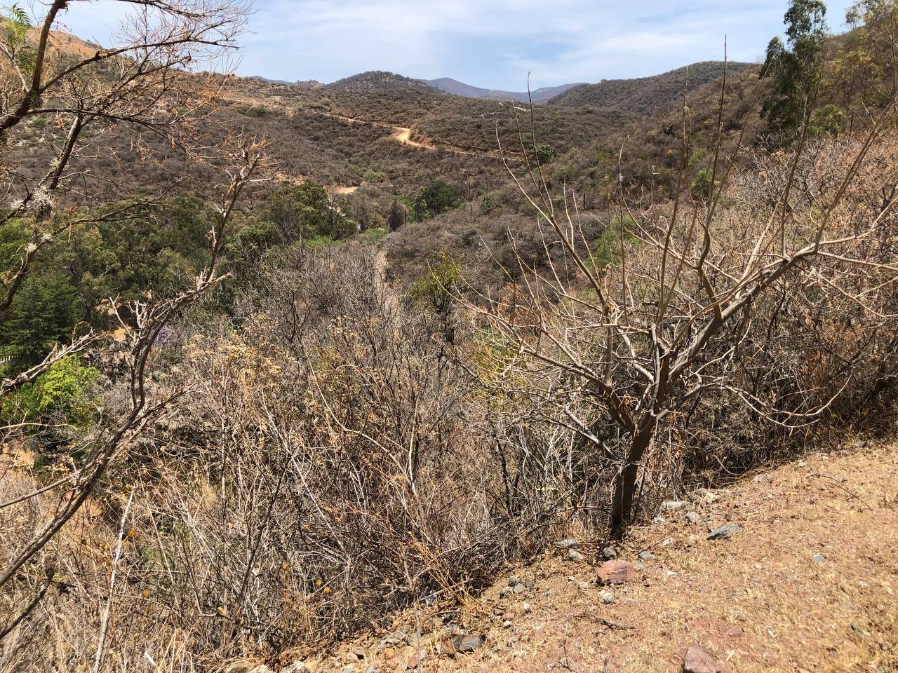 Encuentran cuerpo de mujer en cerro de Guanajuato; habría sido torturada 