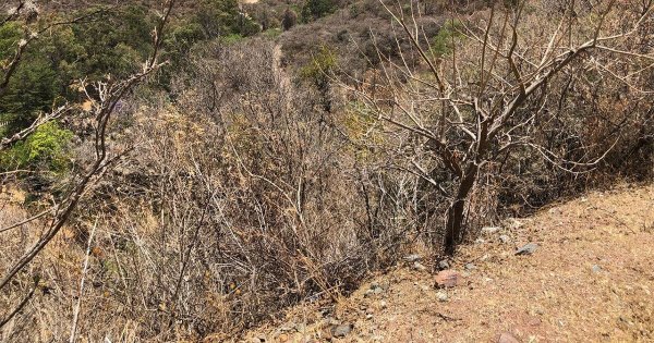 FGR investigará hallazgo de mujer en cerro de Guanajuato, asegura SSC 