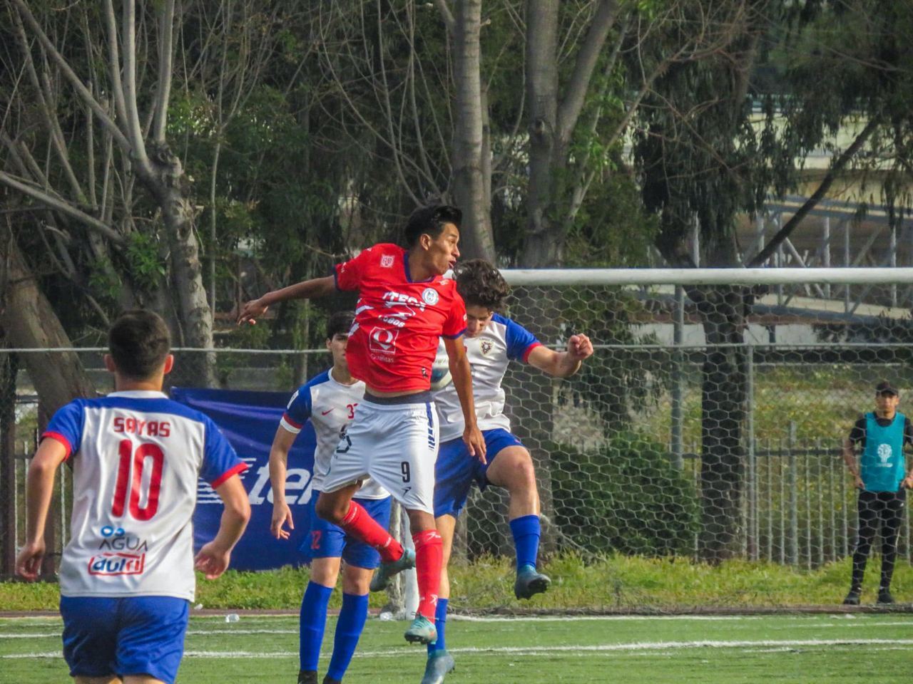 Estos fueron los resultados de Lobos ITECA y Cachorros de León durante los octavos de final de la TDP 