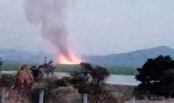 Incendio en Laguna de Yuriria arrasa con fauna y cientos de hectáreas de lirio 