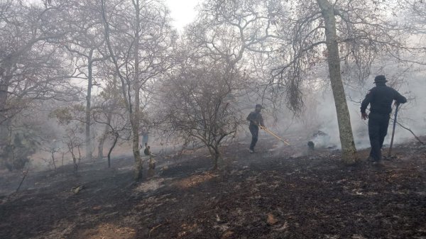 Combaten incendio en el cerro de La Mina y el de La Barranca en Apaseo el Alto  