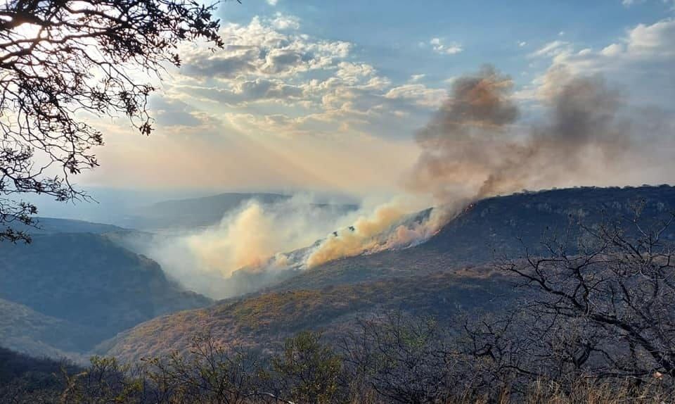 Incendio en Apaseo el Alto causa mala calidad del aire en Celaya y consumió 65 hectáreas 