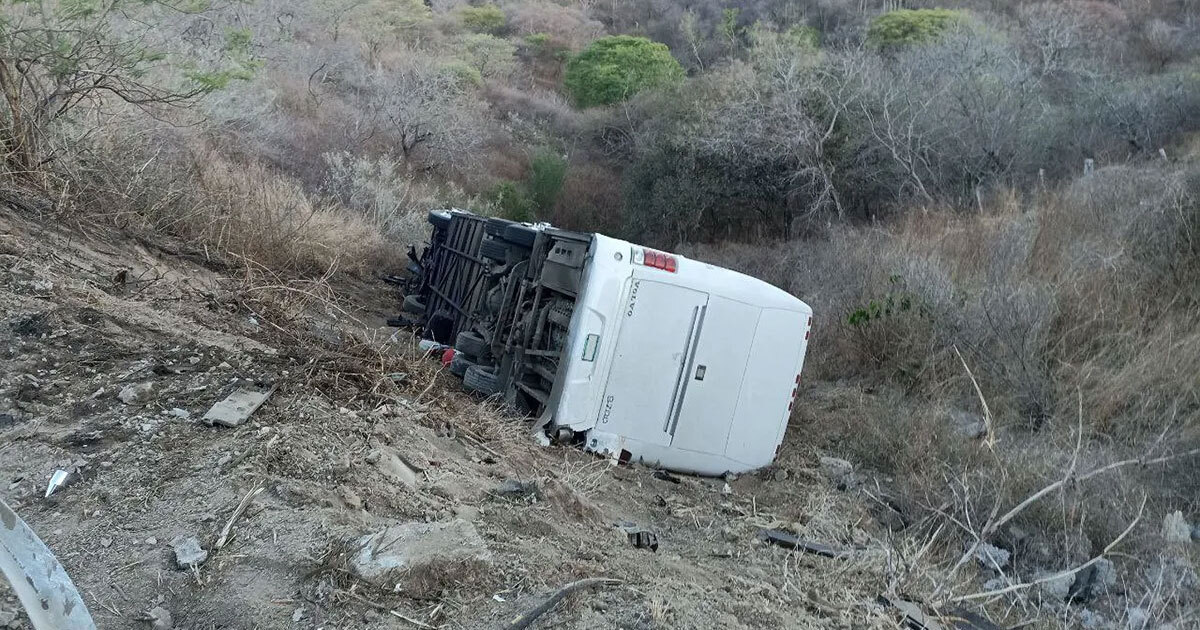 Autobús con equipo infantil de futbol cae a barranco en Jalisco, muere madre