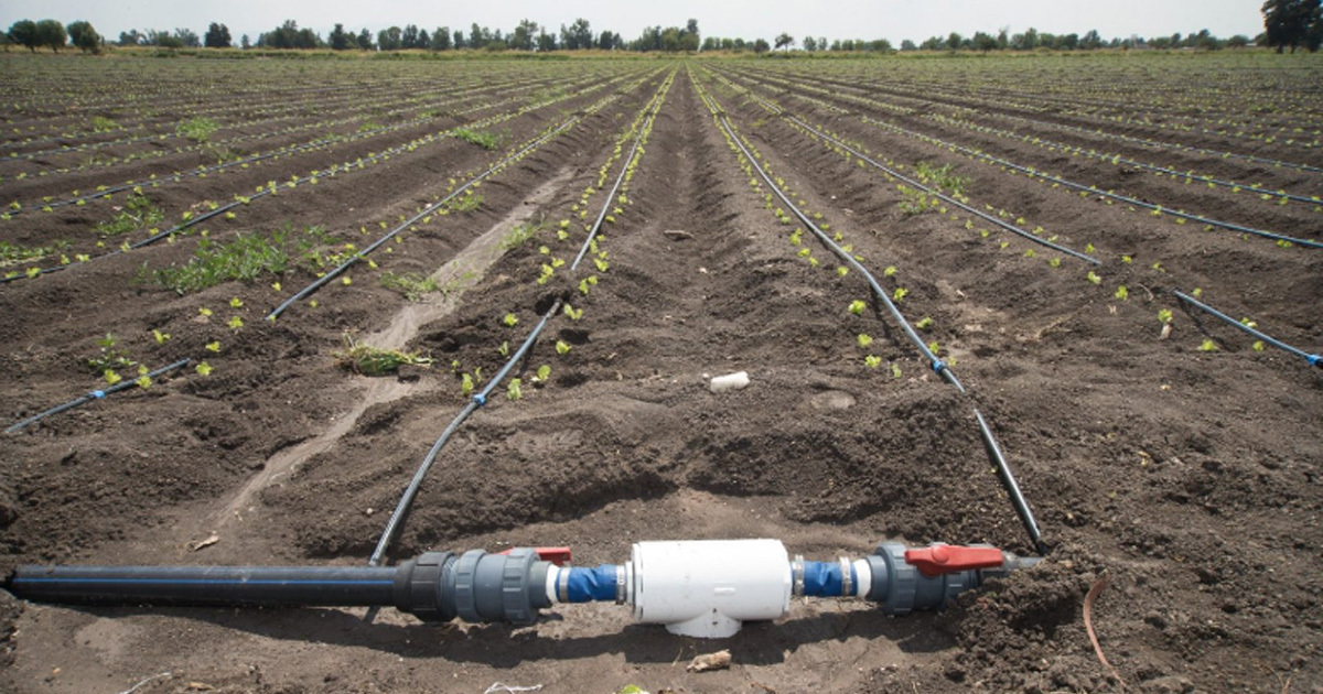 SDAyR llama a agricultores de Guanajuato a renovar su concesión para explotación de agua