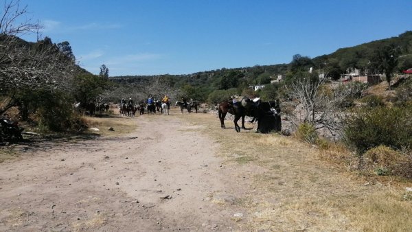 Avanza proyecto forestal Alto Río Temascatío para atraer turismo