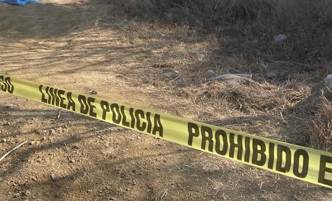 Guanajuato: asesinato en Llanos de Santa Ana se reportó a la policía por comités vecinales