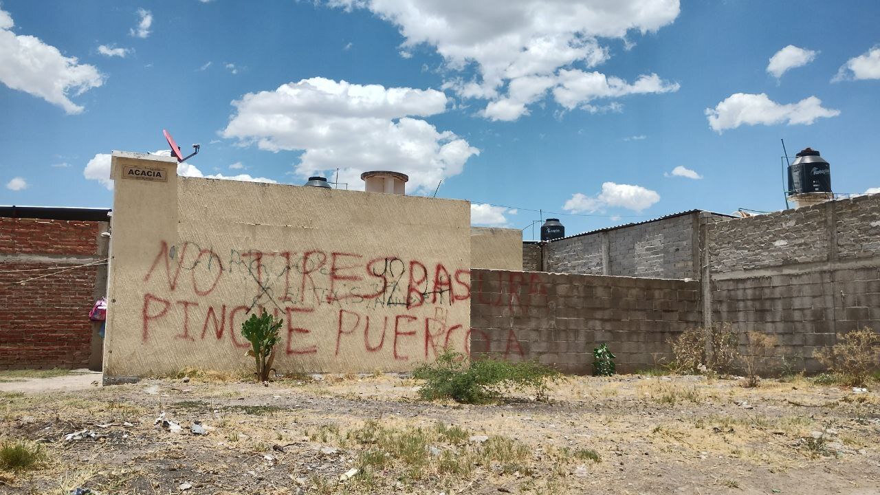 Real del Bosque: la colonia de Purísima del Rincón con basureros afuera de las casas 