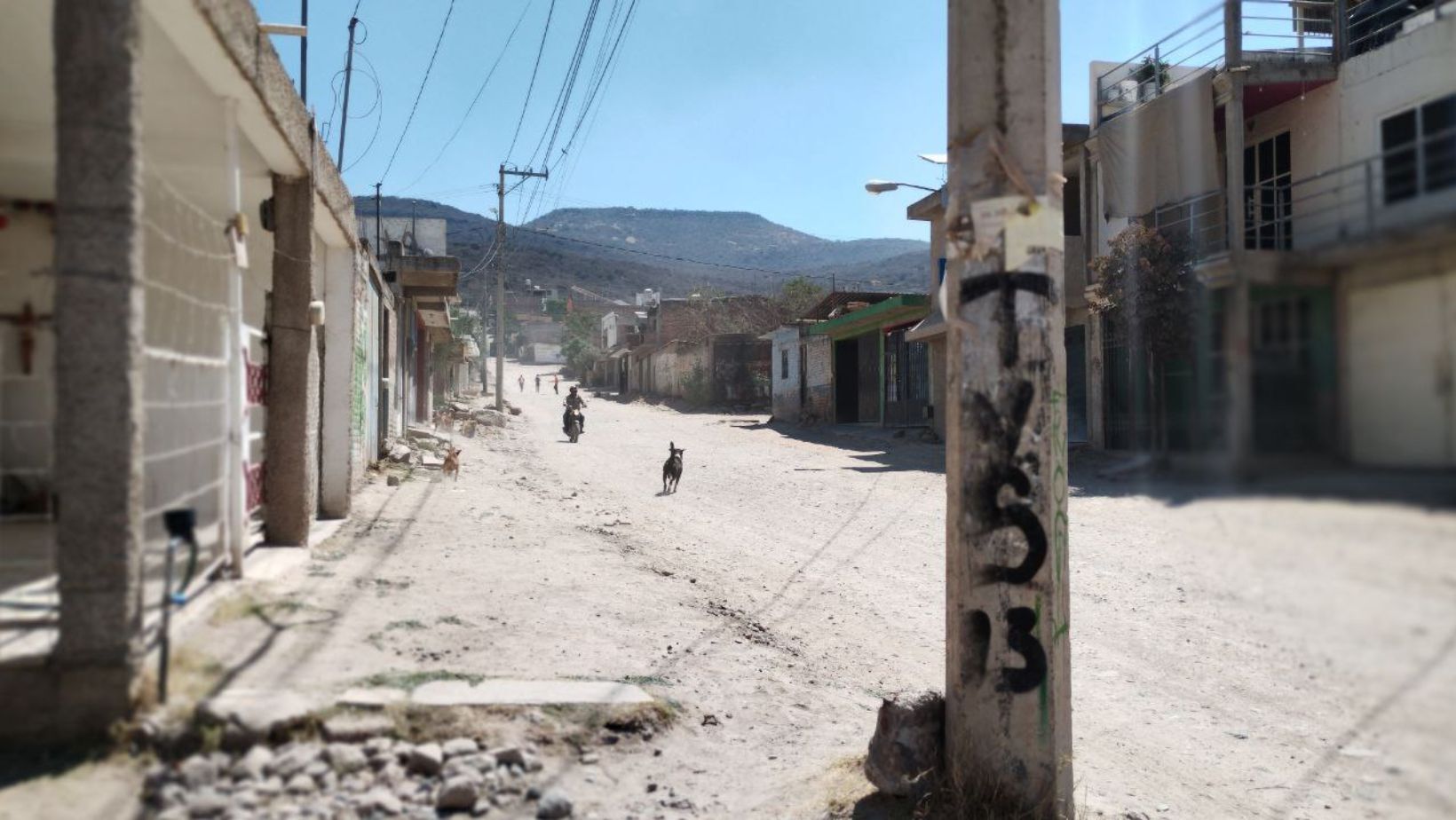 Van por ‘El Chaco’, acusado de comer perro en León; tiene antecedentes por violencia intrafamiliar