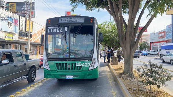 Adulto mayor es arrollado por autobús en León, se reporta gravemente herido